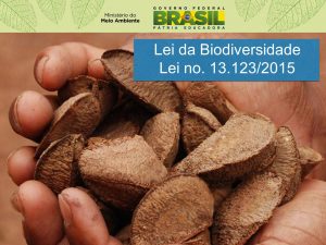 Read more about the article Biodiversidade