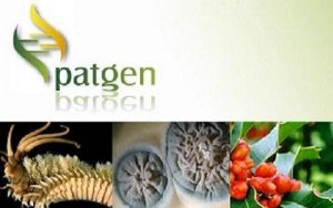 Read more about the article Patgen