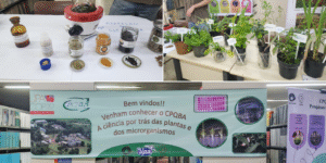 Leia mais sobre o artigo Ciência de Perto: CPQBA Agita a UPA na Unicamp!